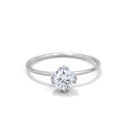 Ring 1366-W
