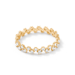 Ring00023-Y
