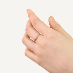 Ring00136