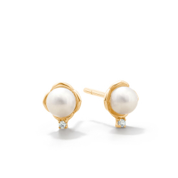 Ring00626-Y