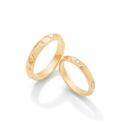 Ring00845-Y