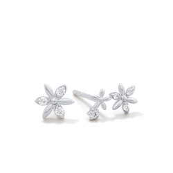 Ring00957-W