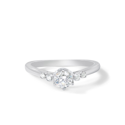 Ring01305-W