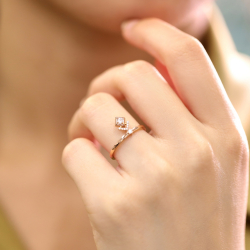 Ring01429