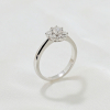 Ring01760