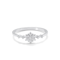Ring02038-W
