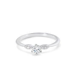 Ring02058-W
