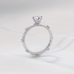 Ring02073