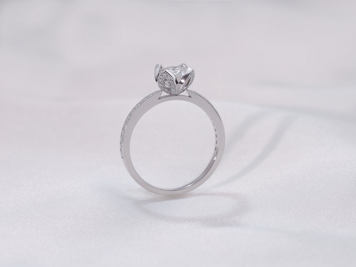 Ring02076